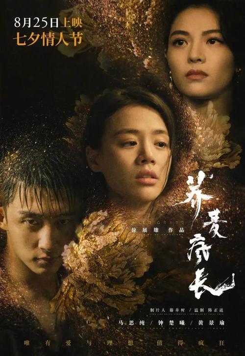 还没毕业学历证书怎么查